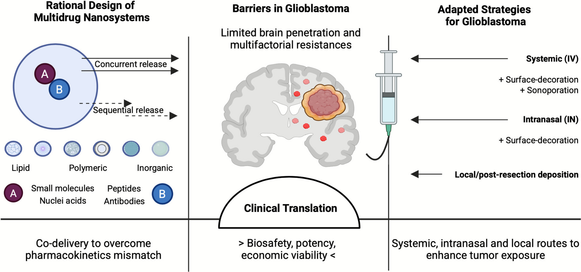 Rational design of anticancer multidrug nanosystems and their adaptation for glioblastoma treatment