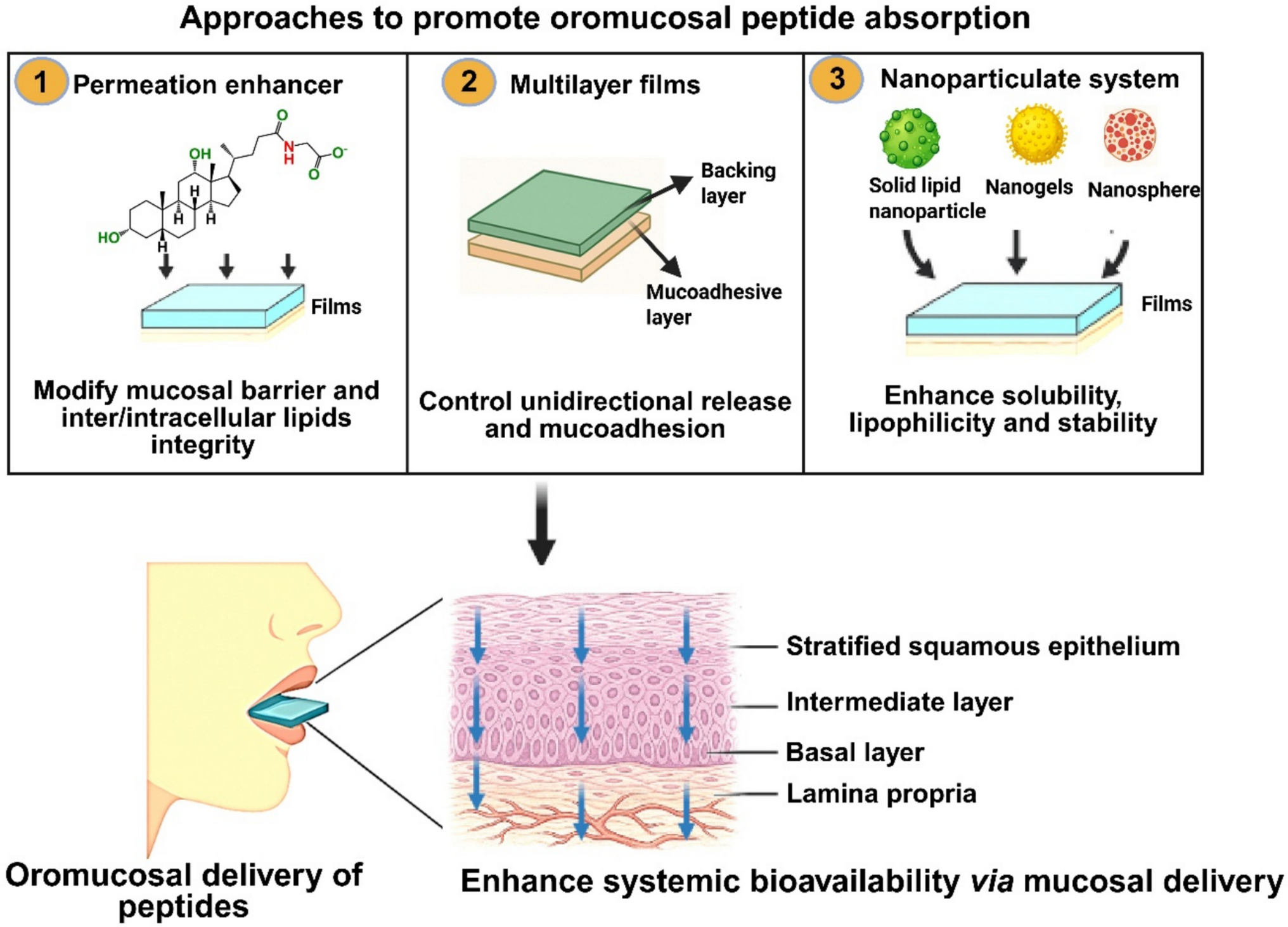 Oromucosal films for peptide delivery: formulation strategies using permeation enhancers and polymers