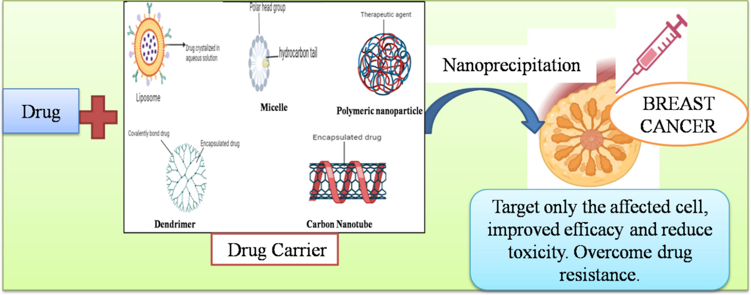 Smart nanocarriers in triple-negative breast cancer: recent advances in targeting and translational application