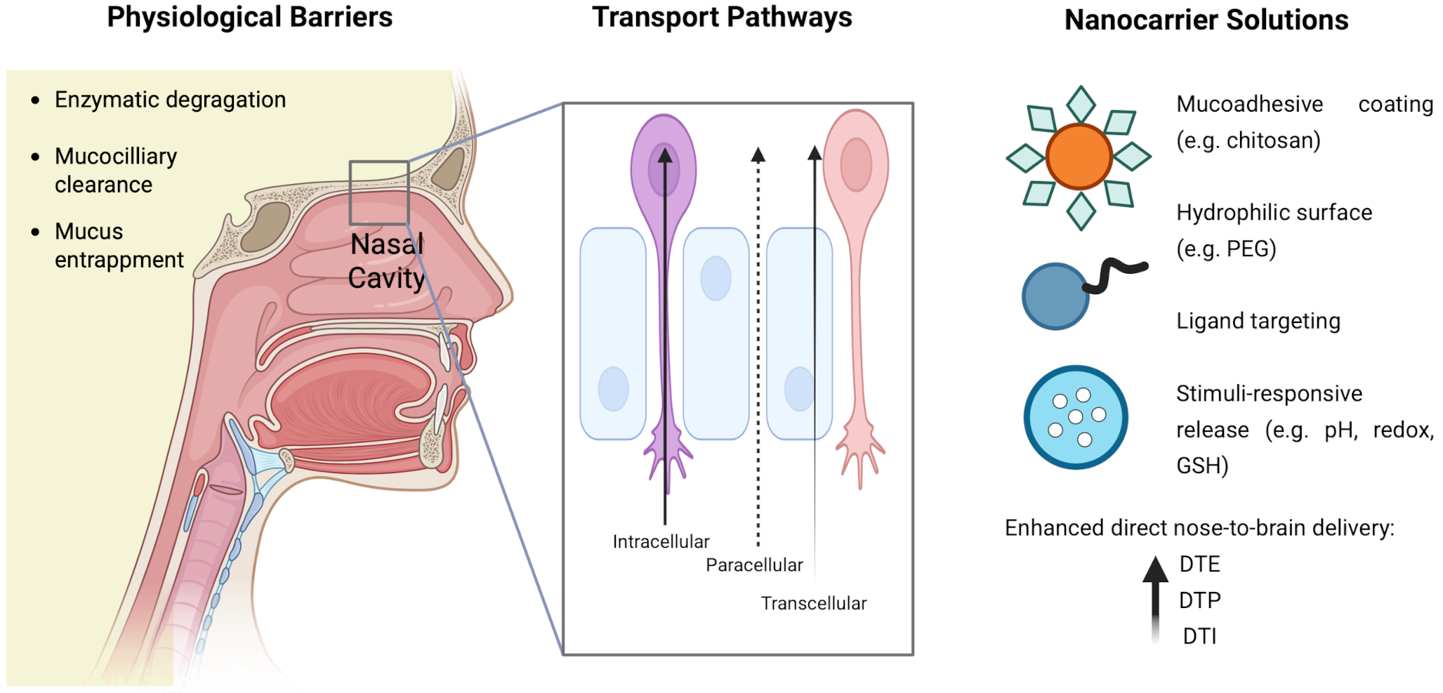 Nanocarrier-based intranasal drug delivery for enhanced neurological disorders treatment