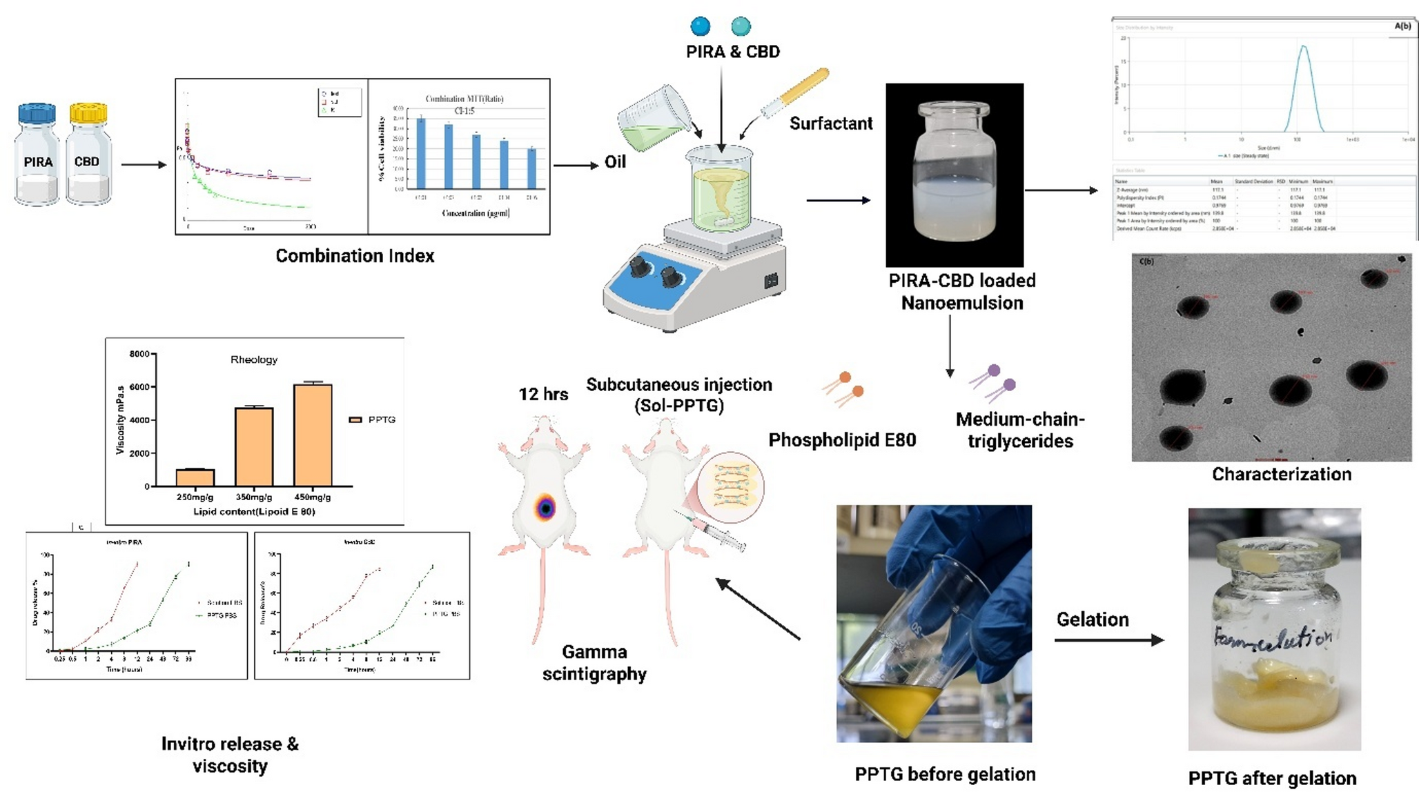 Development of sustained release injectable phospholipid-based phase transition gel matrixed with Piracetam and cannabidiol loaded nanoemulsion for amelioration of Alzheimer’s therapy