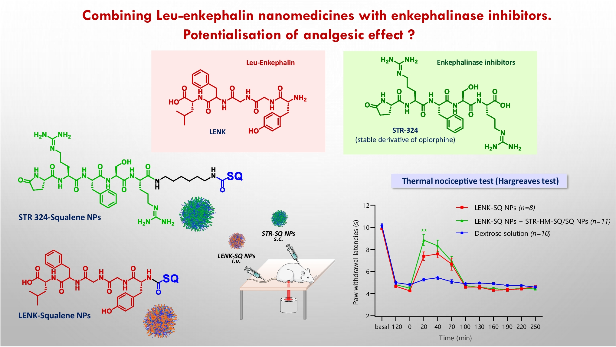 Combining Leu-enkephalin nanomedicines with enkephalinase inhibitors: a promising painkiller strategy?