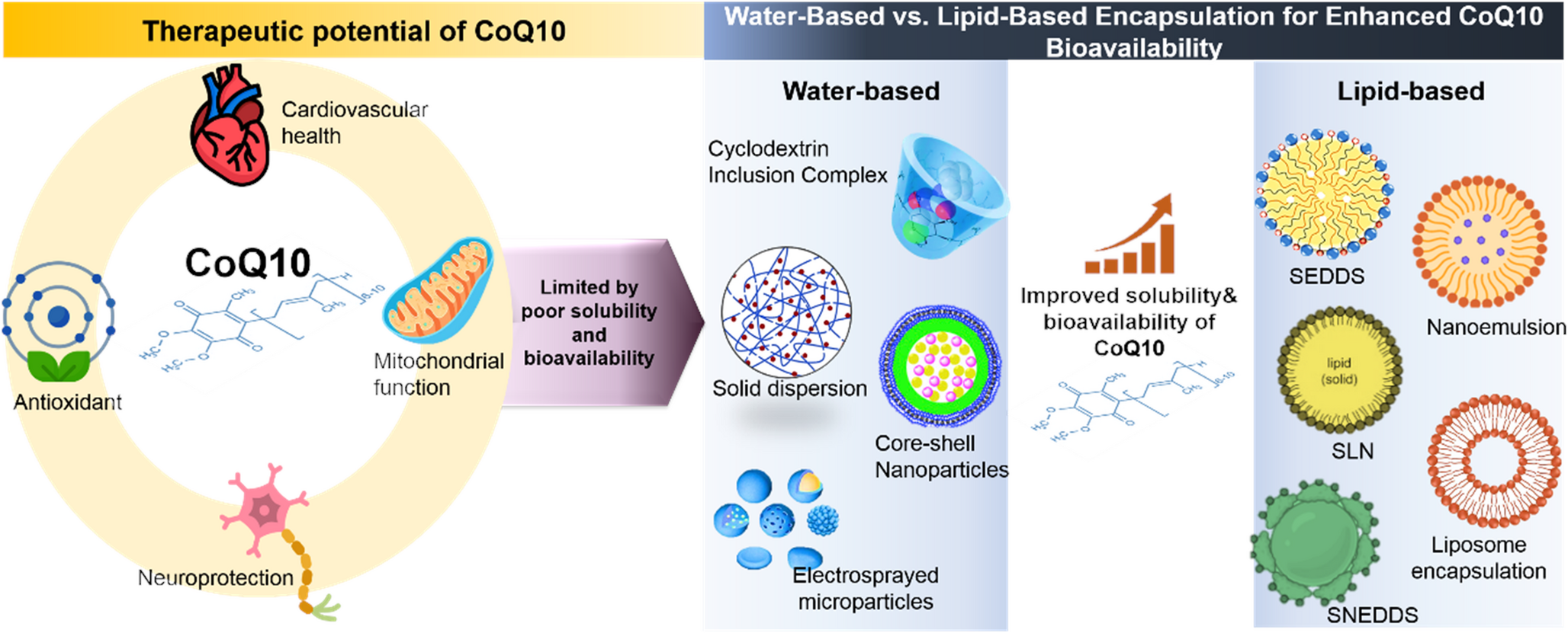 Comparative review of translational approaches in lipid-based and water-based encapsulation strategies for coenzyme Q10
