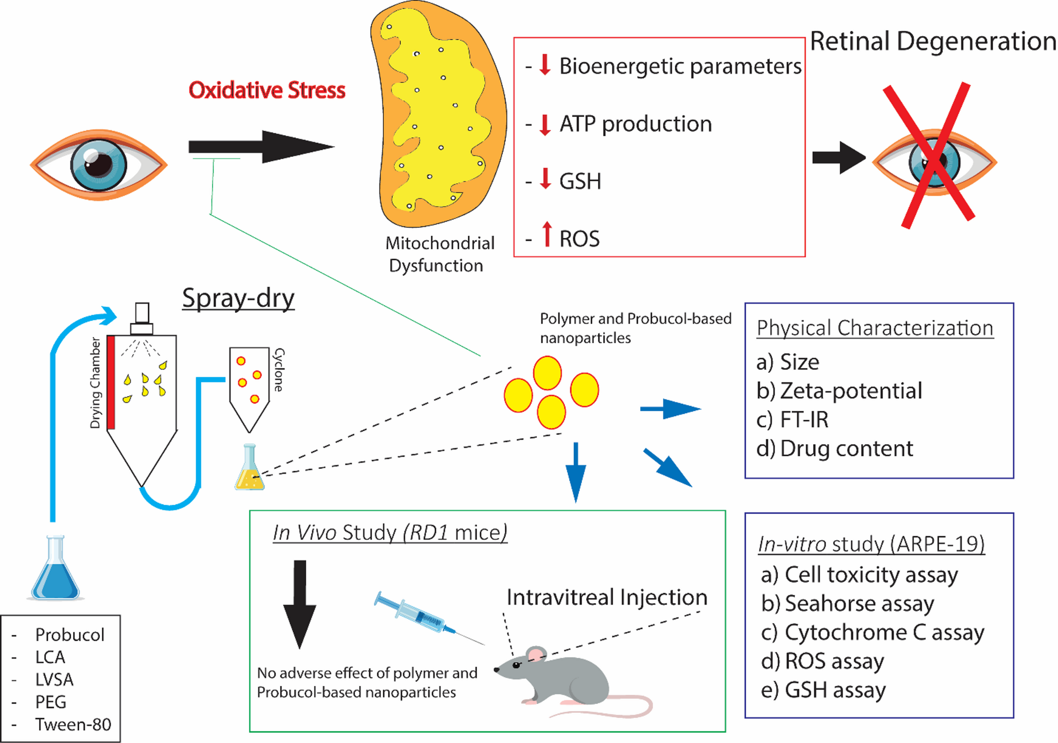 Formulation and evaluation of probucol-LCA nanoparticles for supressing oxidative stress-related retinal degeneration