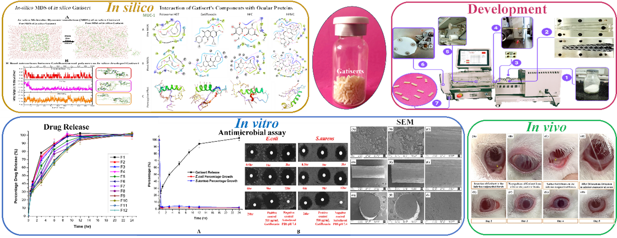 Development, in silico, in vitro, and in vivo evaluation of gatiserts: HME-based ophthalmic inserts for prolonged ocular delivery of gatifloxacin