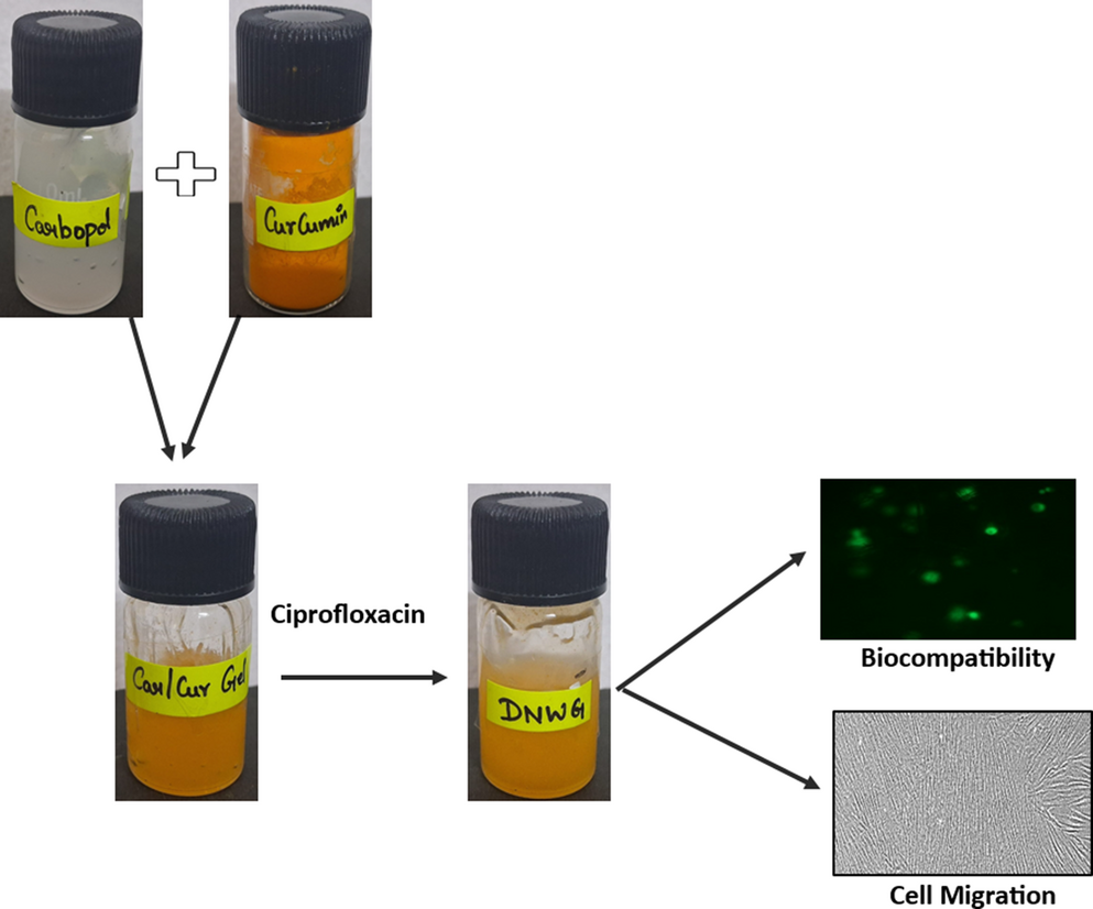 Dual-drug-loaded carbopol gel for enhanced oral wound healing: a curcumin-ciprofloxacin-based therapeutic approach