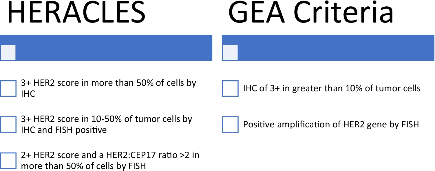 Current Updates on HER2–Directed Therapies in Metastatic Colorectal Cancer