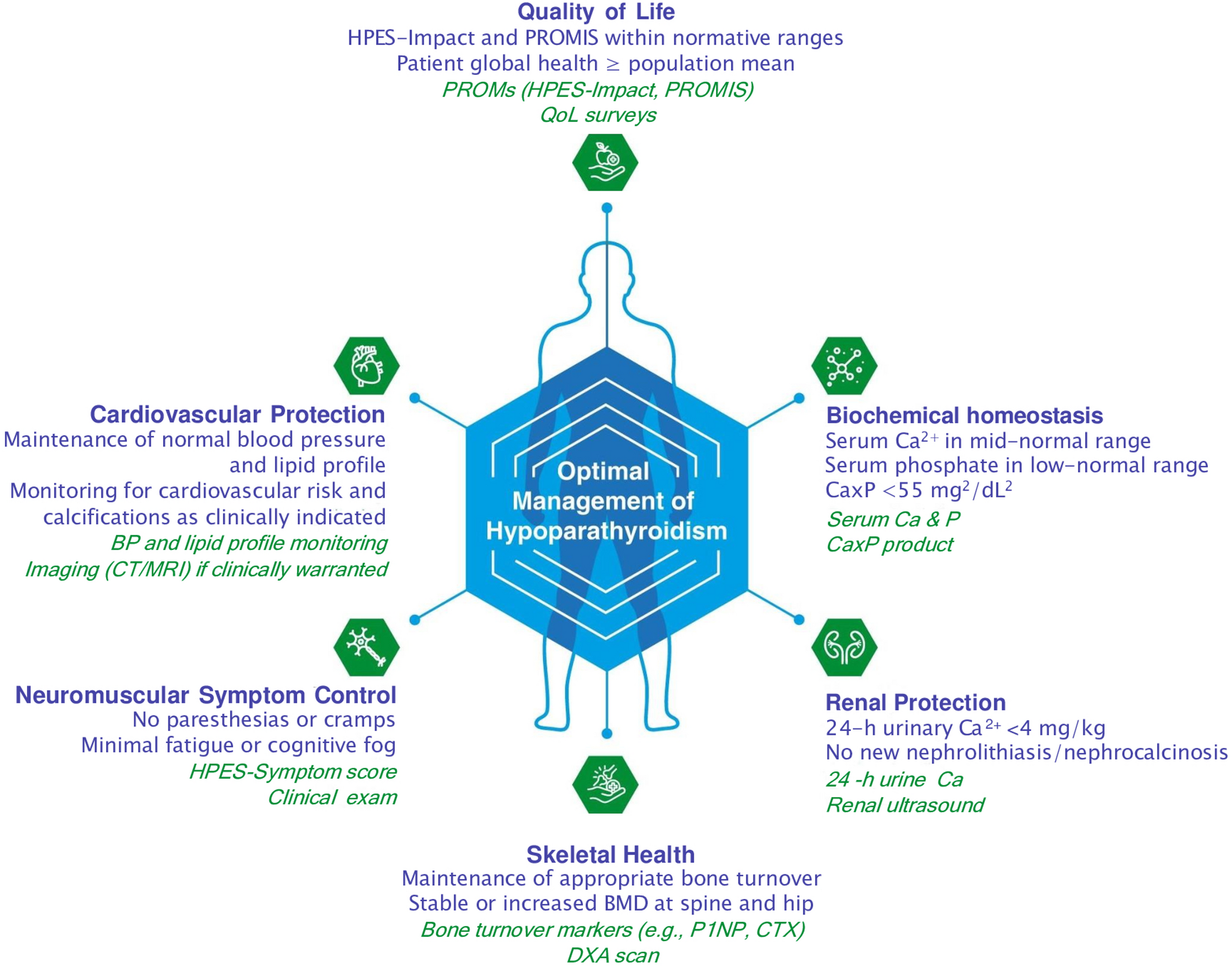 Unveiling the complexities of hypoparathyroidism: a comprehensive review of clinical manifestations, diagnosis, and novel therapies