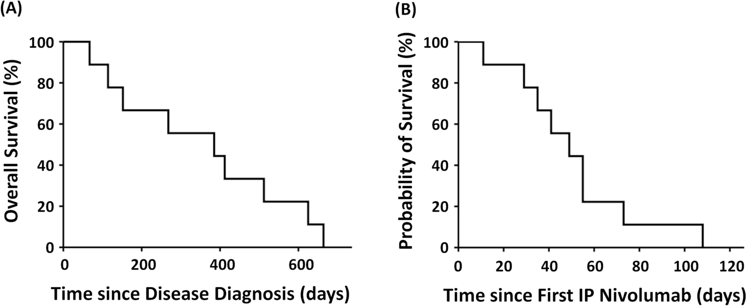 Intraperitoneal nivolumab for malignant ascites in patients with advanced gastrointestinal or pancreaticobiliary tract cancer