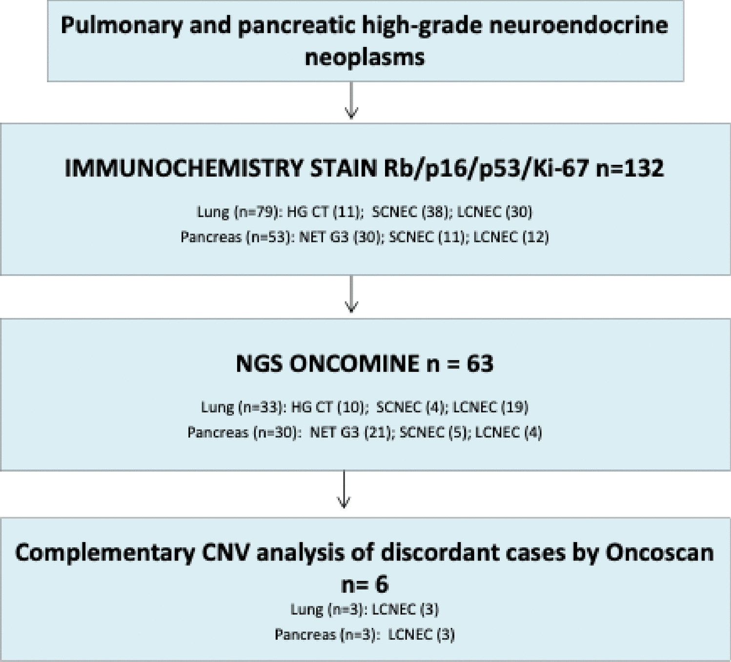Performance of Immunohistochemistry to Detect Rb/p53 Alterations in High-Grade Neuroendocrine Neoplasms: Staining Patterns and Comparison with Genetic Testing