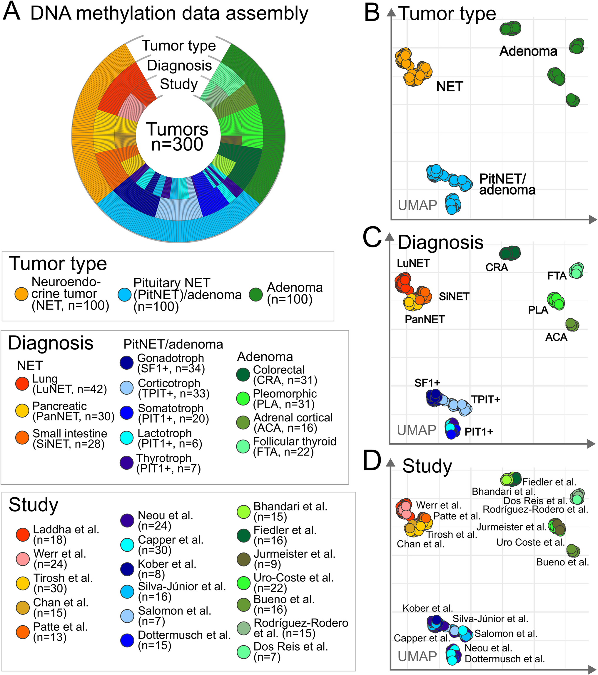Pituitary Neuroendocrine Tumor or Pituitary Adenoma? Let’s Ask the Epigenome!