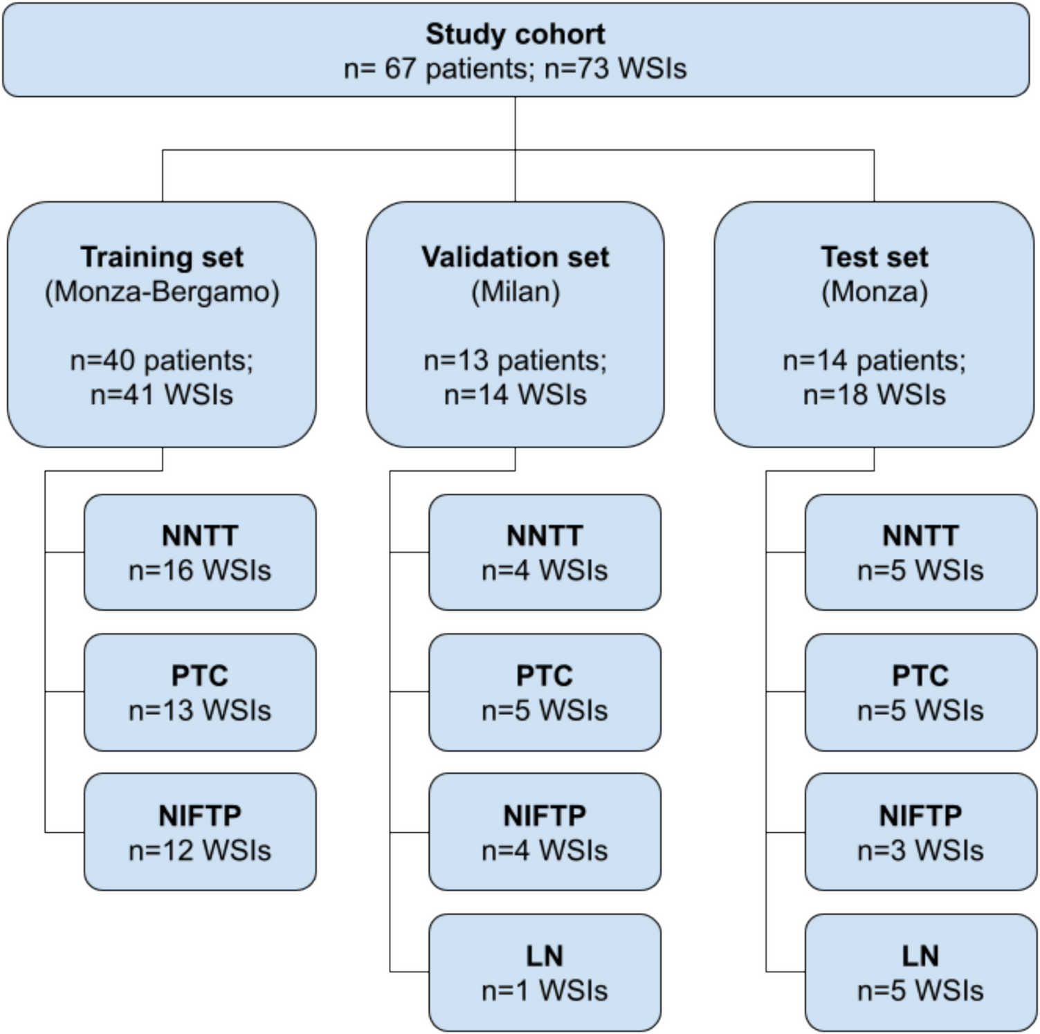 MiThyCA: A Computational Pathology Pipeline for the Identification of Microscopic Foci of Papillary Thyroid Carcinoma-Like Nuclear Features with AI in Whole-Slide Histological Images