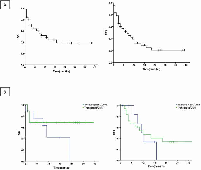 Real world outcomes with the use of Inotuzumab Ozogamicin in relapsed/refractory B cell acute lymphoblastic leukemia