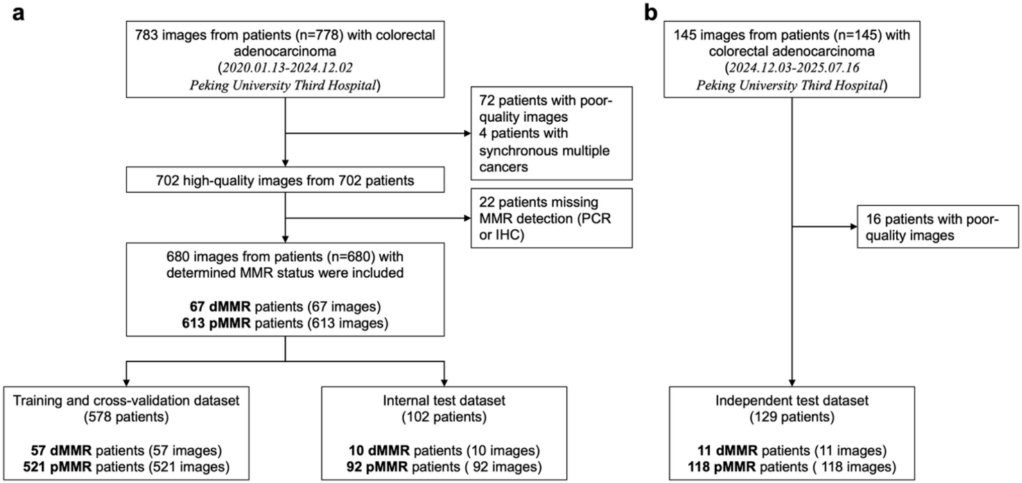 Deep learning-based mismatch repair prediction using colorectal cancer macroscopic images: a diagnostic study