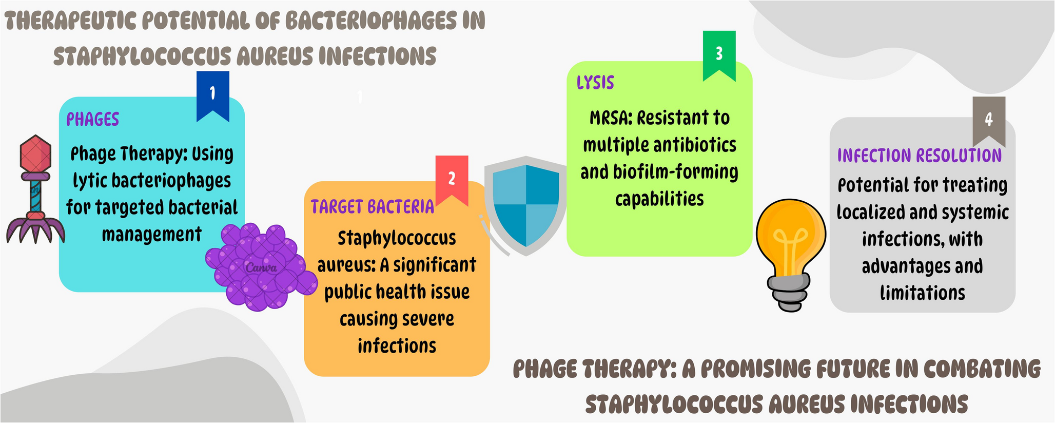 Yesterday’s Science Meets Today’s Crisis: Phage Therapy and MRSA