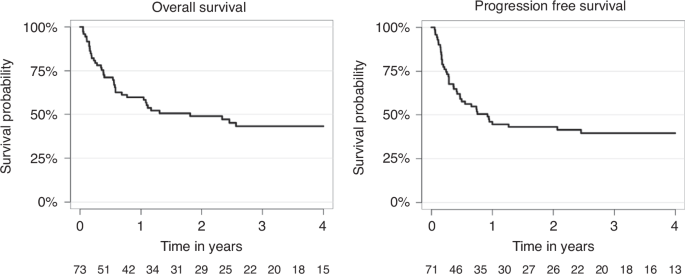 Outcomes of patients with HTLV-1 adult T-cell leukemia/lymphoma (ATLL) after allogeneic SCT: results of the EBMT LWP