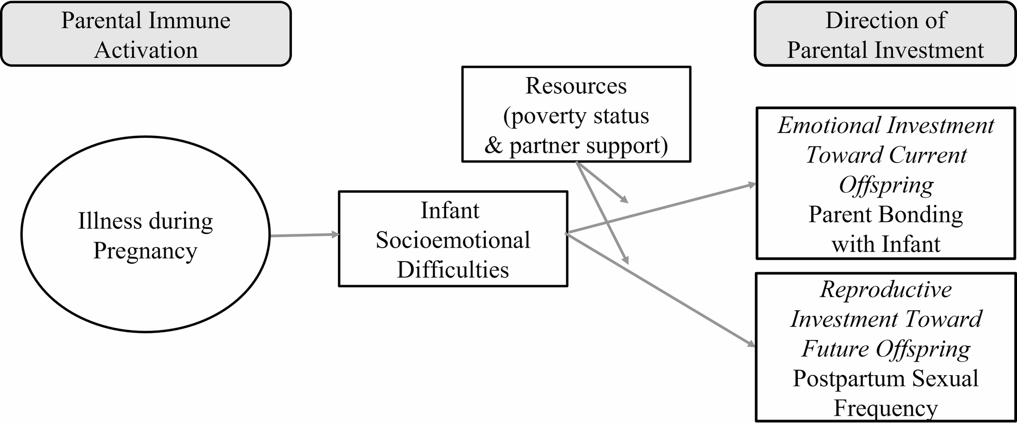 Illness Symptoms during Pregnancy Impact Offspring Development and Parental Behavior during the Postpartum Period