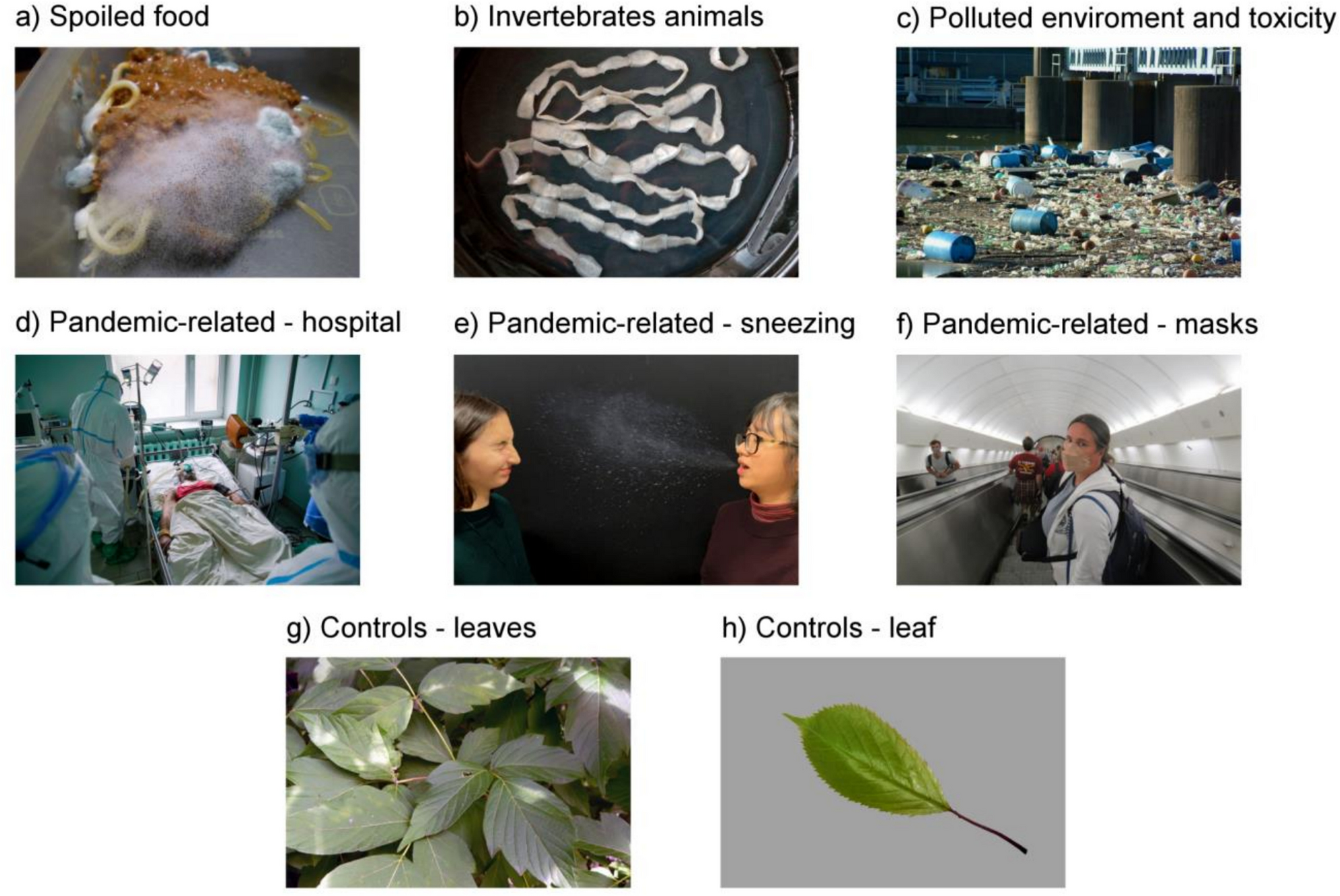 From Bugs to Sickness: Disgust Evaluation of Ancestral, Modern, and Pandemic Threats