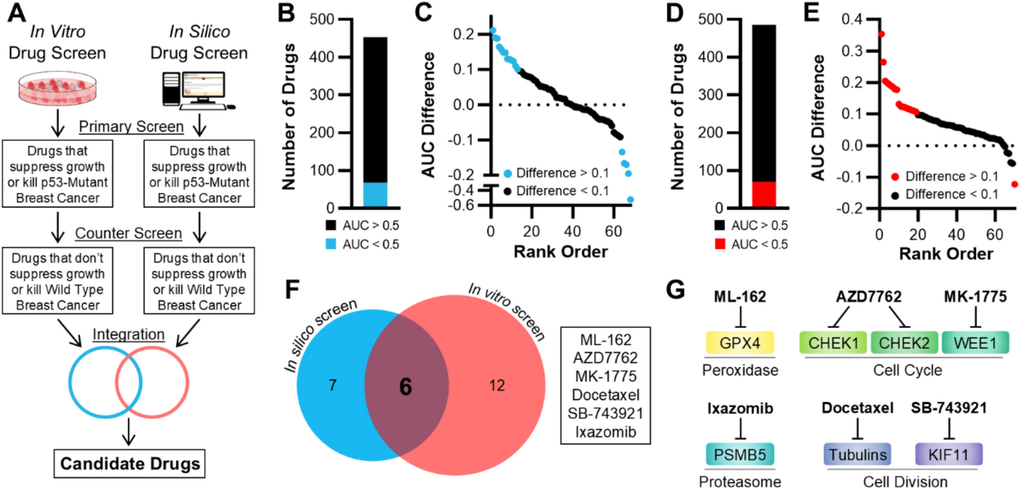 Inhibition of GPX4 induces the death of p53-mutant triple-negative breast cancer cells
