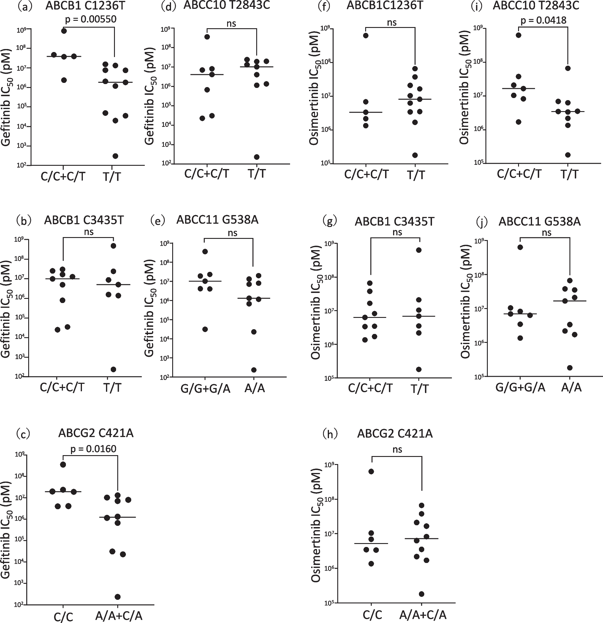 and  polymorphisms predict sensitivity to first- and third-generation EGFR-TKIs in -mutant NSCLC