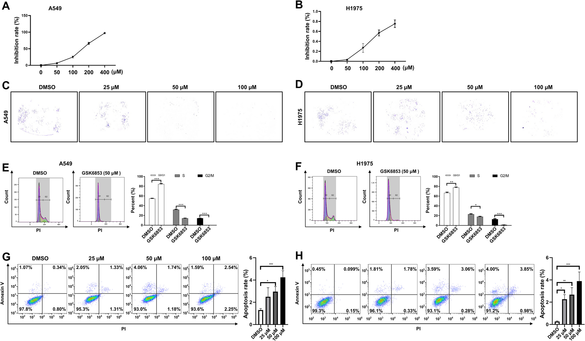 BRPF1 inhibitor GSK6853 inhibits NSCLC cell proliferation via the JAK2/STAT3/CCNA2 axis to induce cell cycle arrest