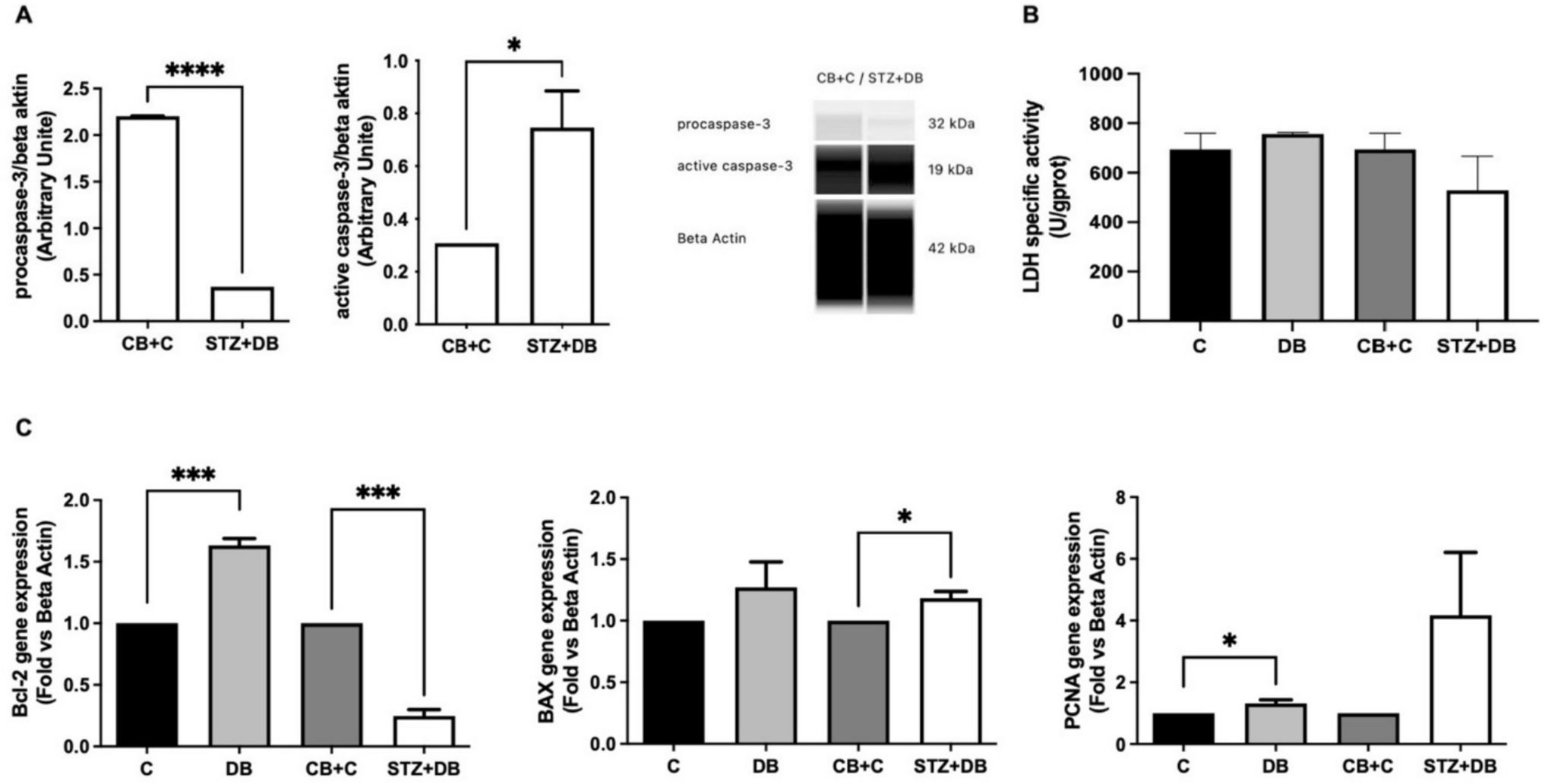 The role of dinutuximab beta with beta cell function, apoptosis, and proliferation: new approaches to proteomic analysis of insulinoma