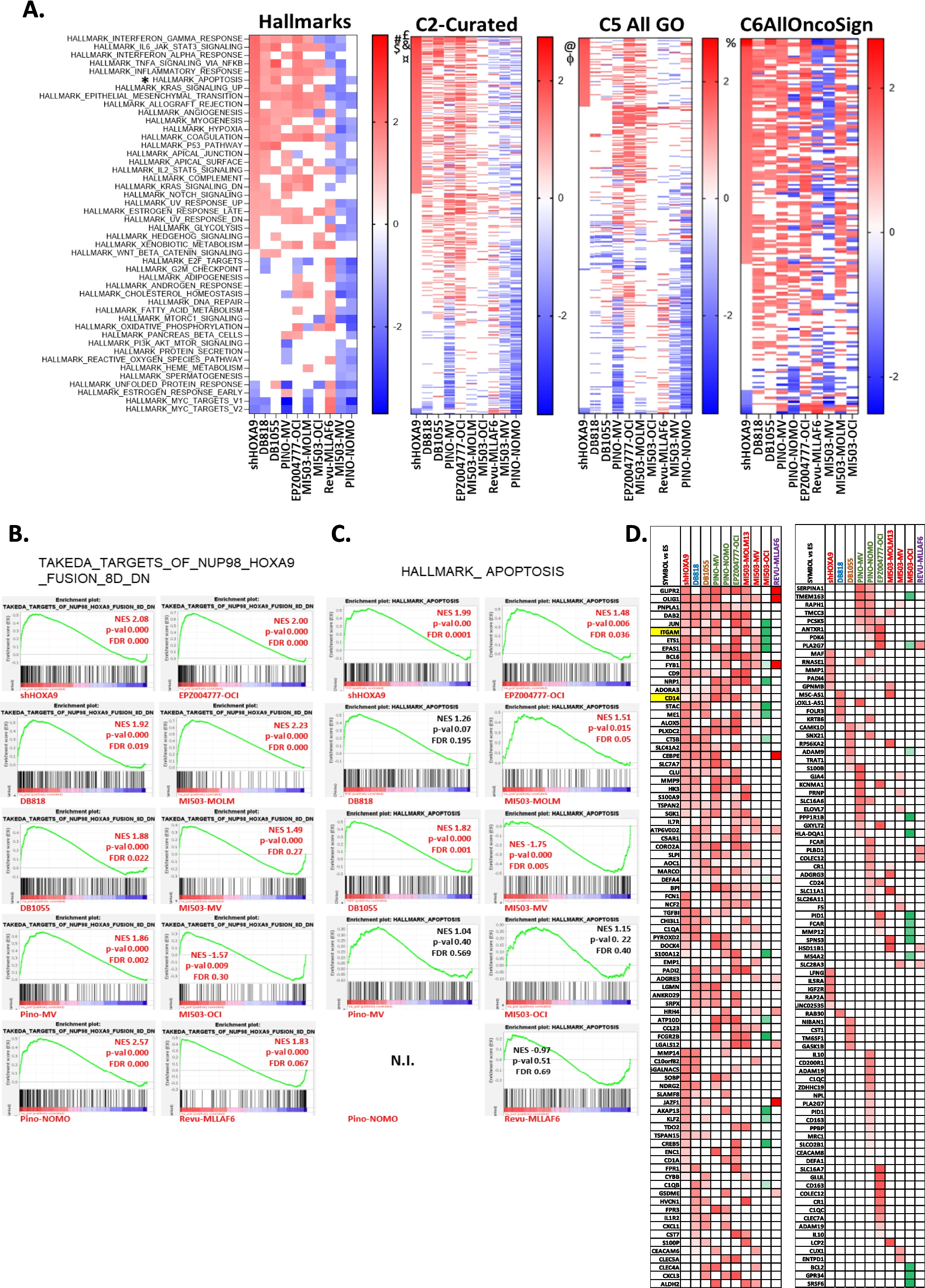 Direct functional HOXA9/DNA-binding competitors versus epigenetic inhibitors of HOXA9 expression on cell proliferation, death and differentiation processes in the model of MLL-rearranged acute myeloid leukemia