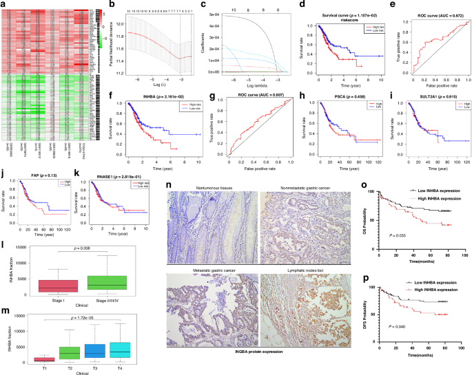 INHBA, regulated by C/EBPβ, induces M2 macrophage polarization to promote tumor metastasis and growth via activating the PI3K/AKT pathway in gastric cancer