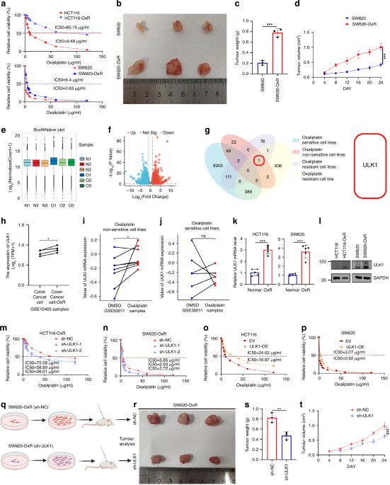 ULK1 promotes oxaliplatin resistance of colon cancer via phosphorylation of Bax S184