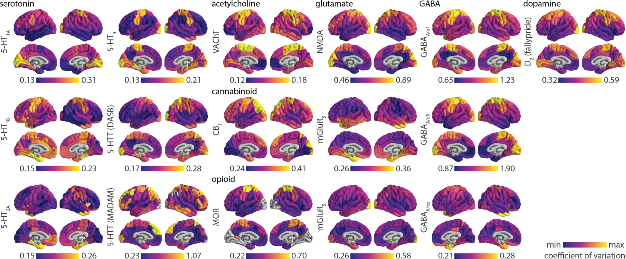 Inter-individual variability of neurotransmitter receptor and transporter density in the human brain