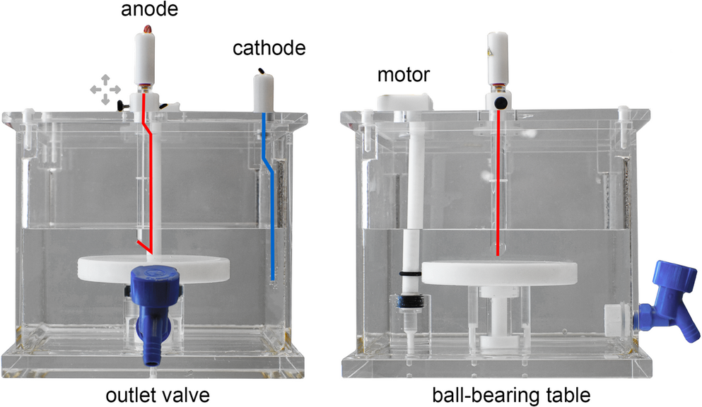 Mapping intralobar fiber connections in the human occipital lobe by tracer electrophoresis