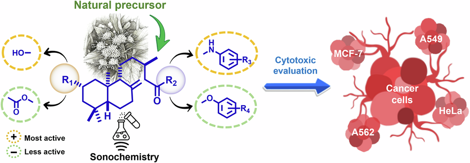 Anticancer activity of amide and ester derivatives of the labdane 2α-hydroxyeperuic acid obtained via sonochemical synthesis