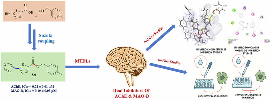 4-methylbenzyl 5-arylthiophene-2-carboxylates as Multitarget Directed Ligands Scaffolds (MTDLs): Synthesis, in-silico docking studies, and evaluation of dual selective enzymatic inhibition (AChE & MAO-B)