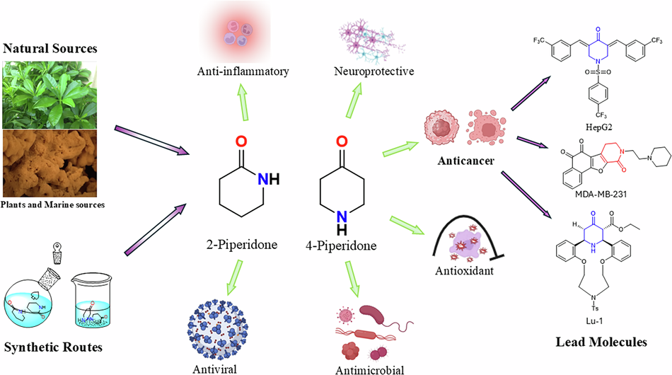 Recent advances in piperidones as privileged scaffolds for drug discovery and development