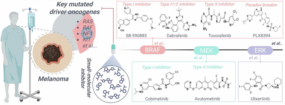 Small-molecule drug discovery in malignant melanoma: current status and prospective developments