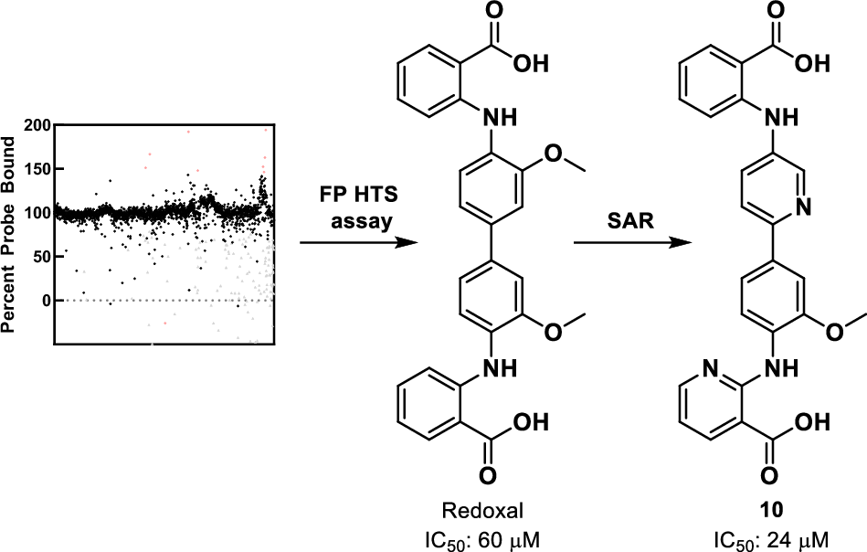Discovery and development of inhibitors of heat shock factor 1 by a fluorescence polarization assay