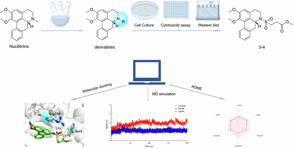 Discovery of novel nuciferine-based URAT1 inhibitors for hyperuricemia: synthesis, biological evaluation, and computational insights