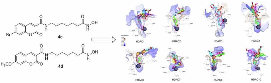 Design, synthesis and biological evaluation of novel hydroxamic acids bearing coumarin moieties as histone deacetylase inhibitors and cytotoxic agents