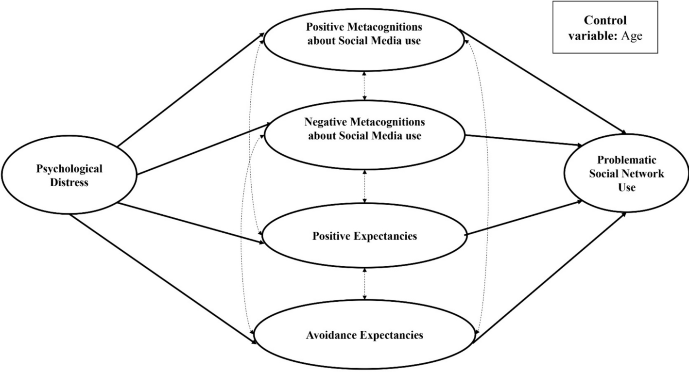 Measuring Metacognitions about Social Media Use and their Contribution to Problematic Social Network Use in Relation to User Expectancies