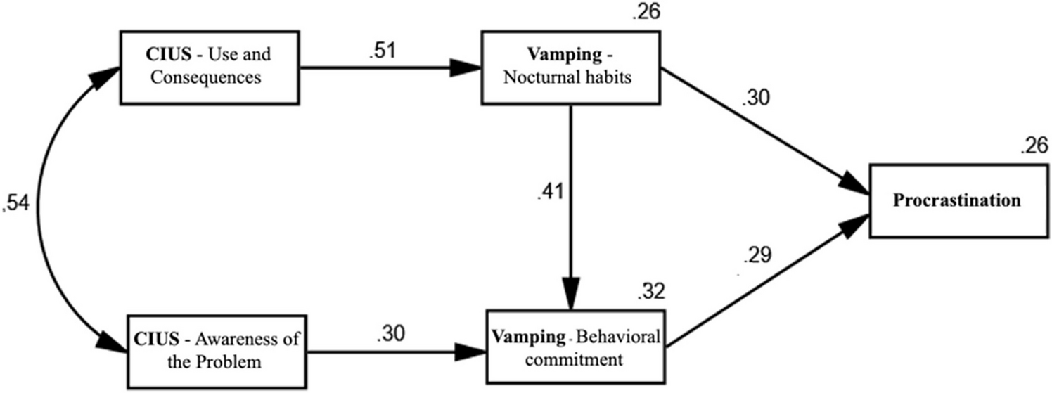 The Compulsive Internet Use and Its Relationship with Vamping, Fear of Missing Out and Procrastination Behavior