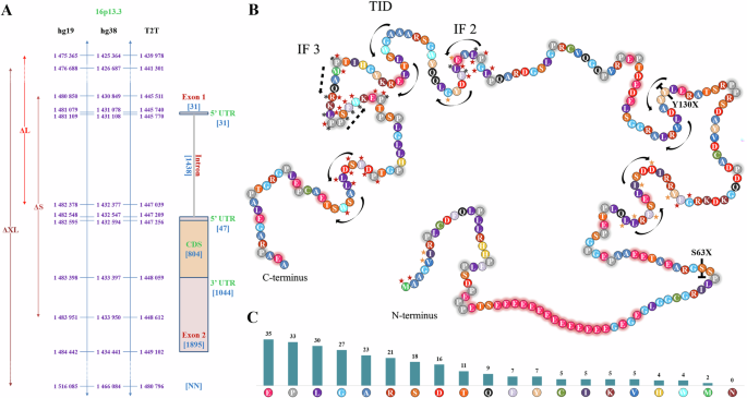Congenital diarrhea/enteropathy due to a novel biallelic PERCC1 variant – a case-based review and variant analysis