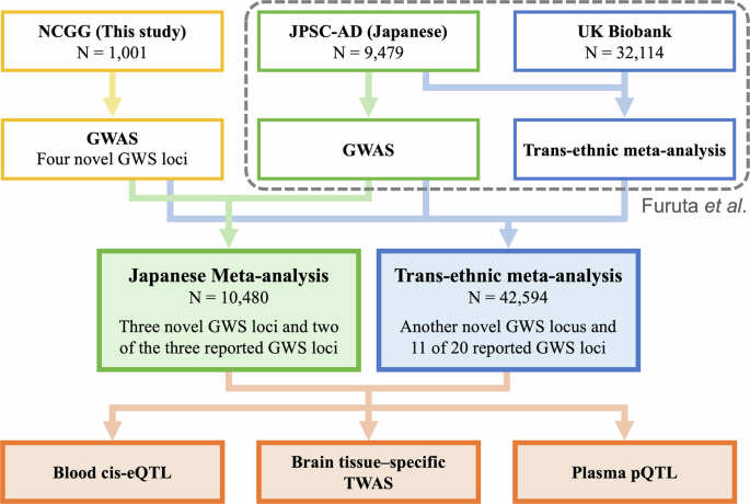 Meta-analyses of genome-wide association studies identify novel loci influencing Japanese white matter hyperintensities