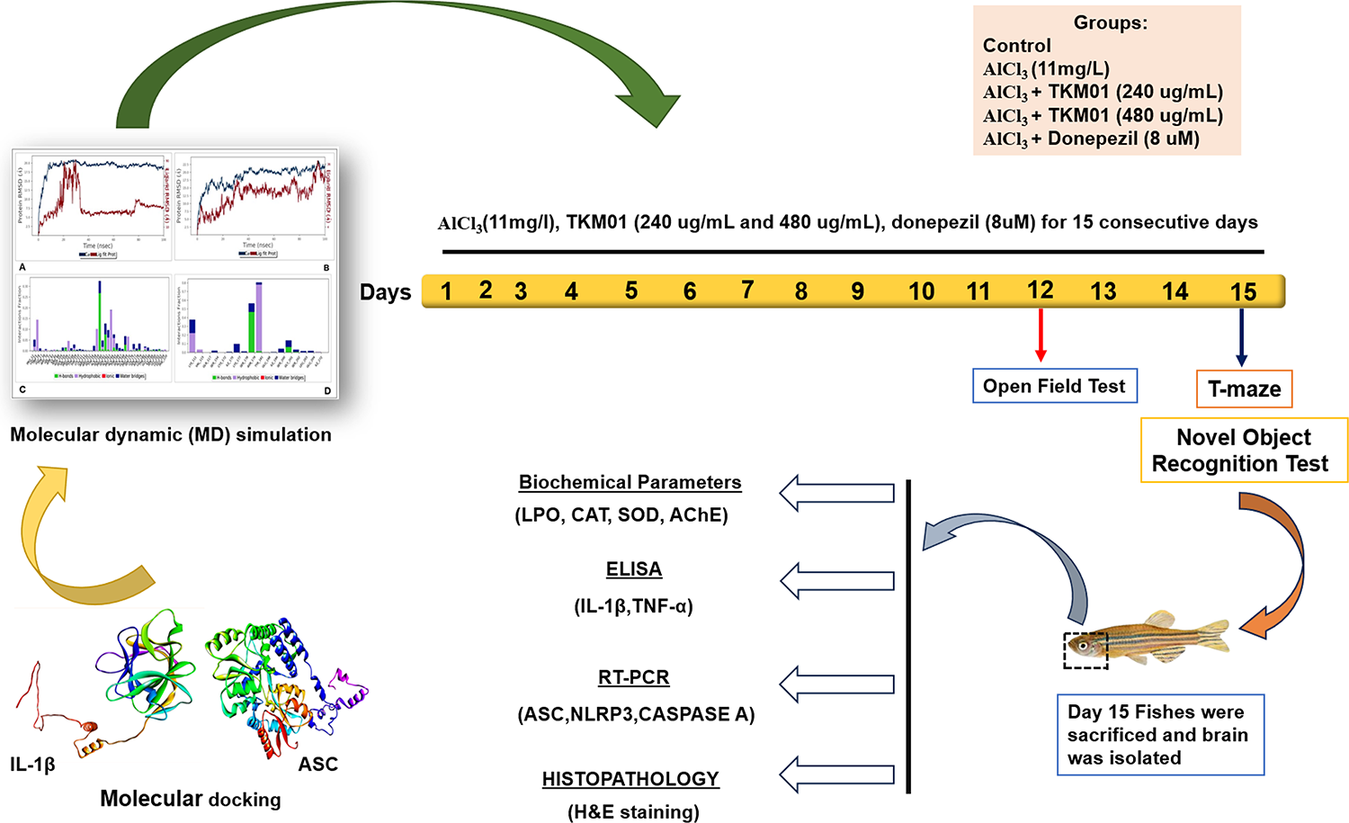 Exploring the Therapeutic Potential of N-(3,4-dimethoxy phenyl)-6,7-dimethoxyquinazoline-4-amine (TKM01) in Aluminium-Induced Alzheimer’s Disease-Like Model of Zebrafish