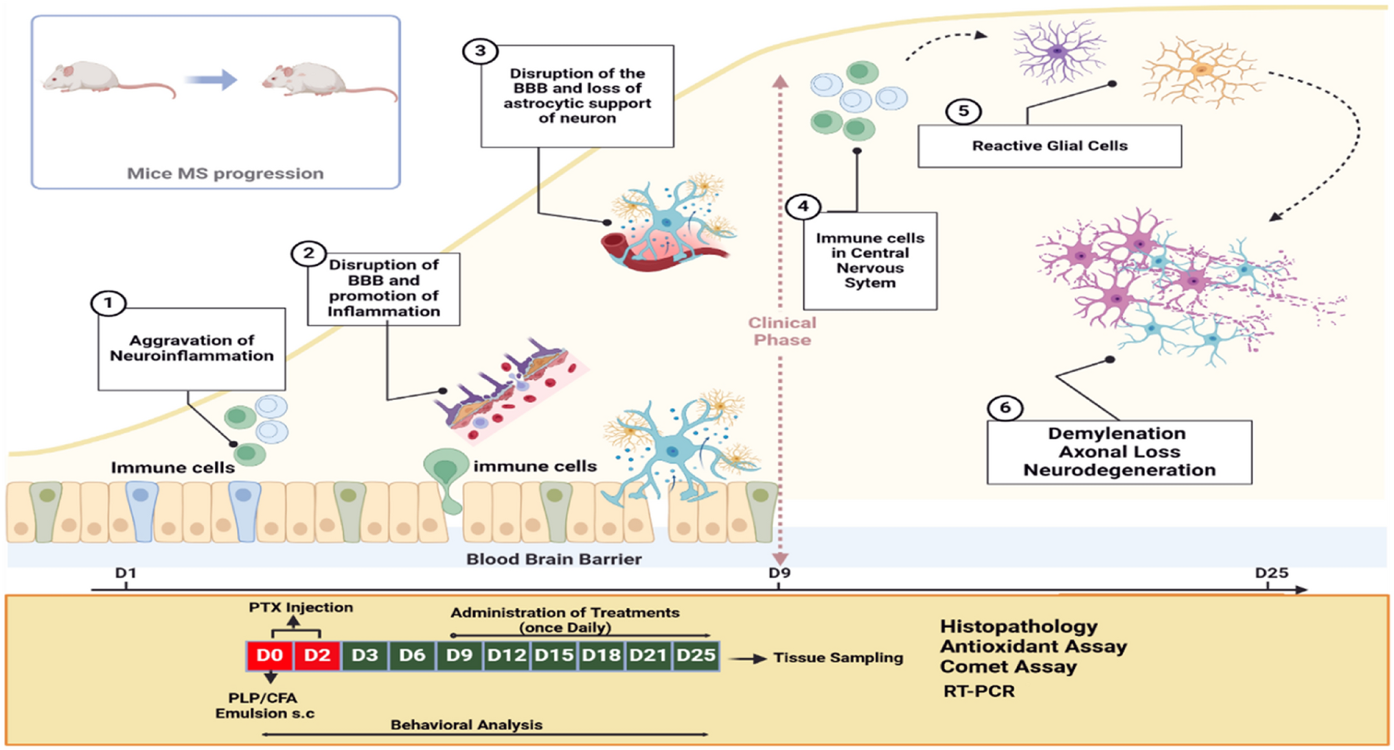 1,3,4-Oxadiazole Derivative: A Potential Anti-inflammatory and Antioxidant Agent in Experimental Autoimmune Encephalomyelitis