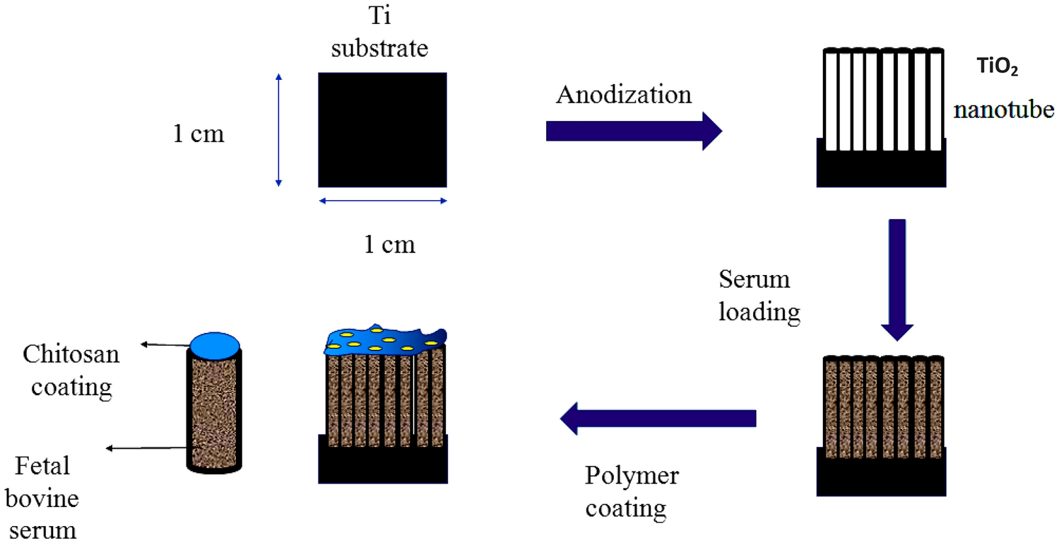 Titania nanotube arrays as nanobiomatrix interfaces for localized biomolecules delivery to human neuroblastoma SH-SY5Y cells