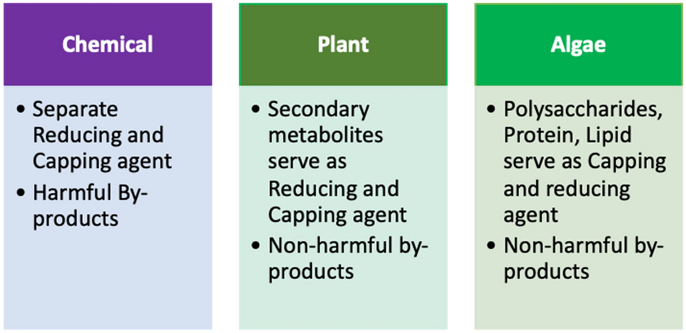 Recent progress in algae-mediated silver nanoparticle synthesis