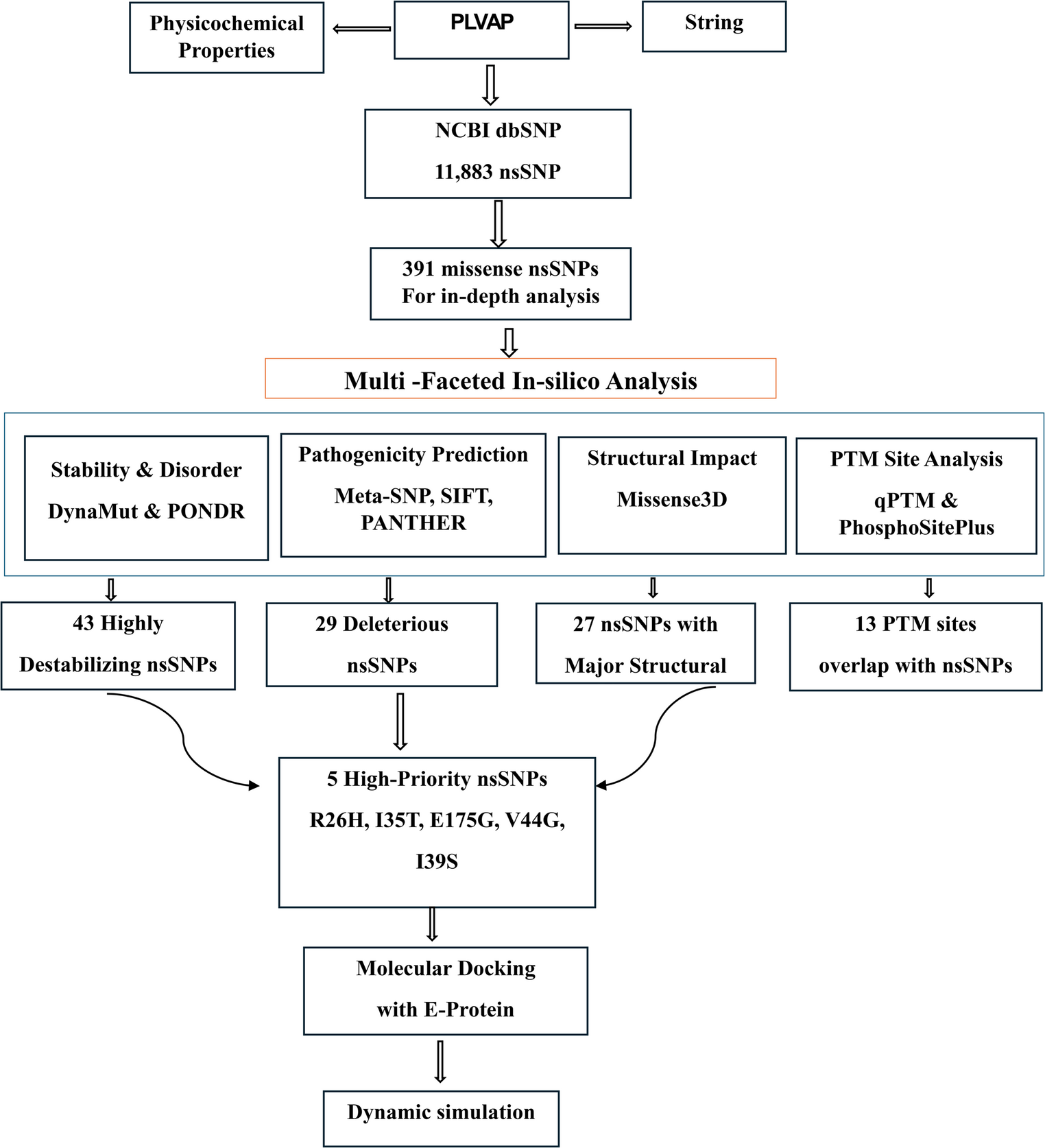 Computational analysis of Non-synonymous SNP effects on human PLVAP gene structure and function