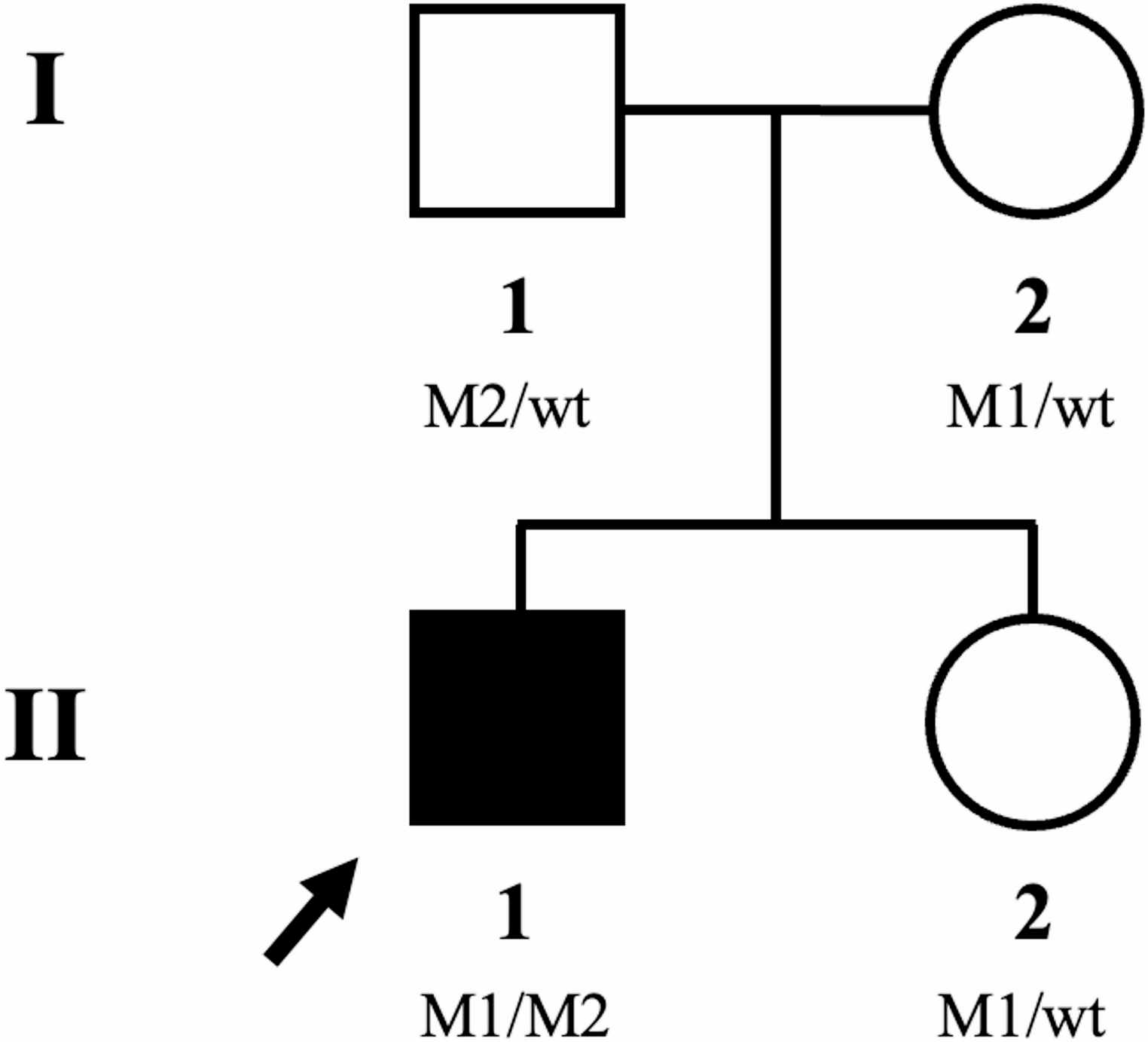 Further evidence for a wide phenotypic and mutational spectrum of Cohen syndrome: case report and literature review