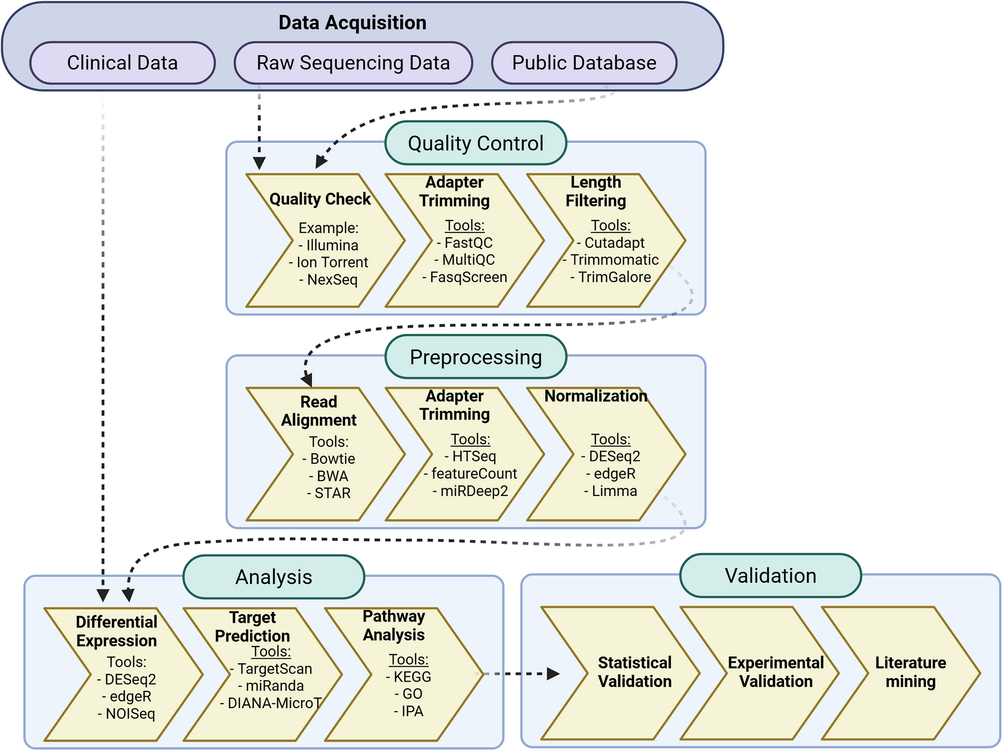 MicroRNA bioinformatics in precision oncology: an integrated pipeline from NGS to AI-based target discovery