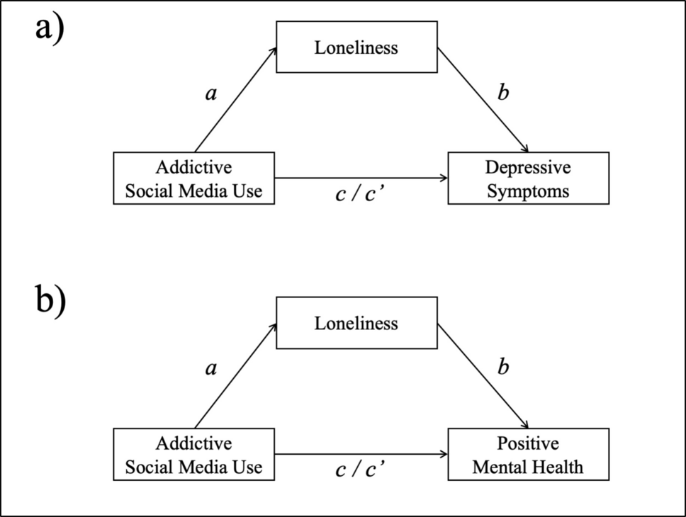 Loneliness mediates the association between addictive social media use and mental health in university students in Germany and Israel